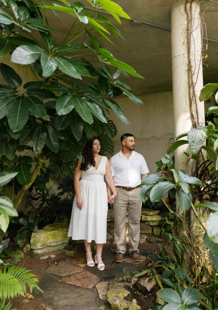 Engaged couple walking beneath lush tropical plants inside the San Antonio Botanical Garden conservatory.